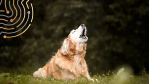 Scardinare il Business As Usual non è una provocazione, ma una scelta strategica. Ecco perché la consulenza può cambiare la rotta di un’azienda.