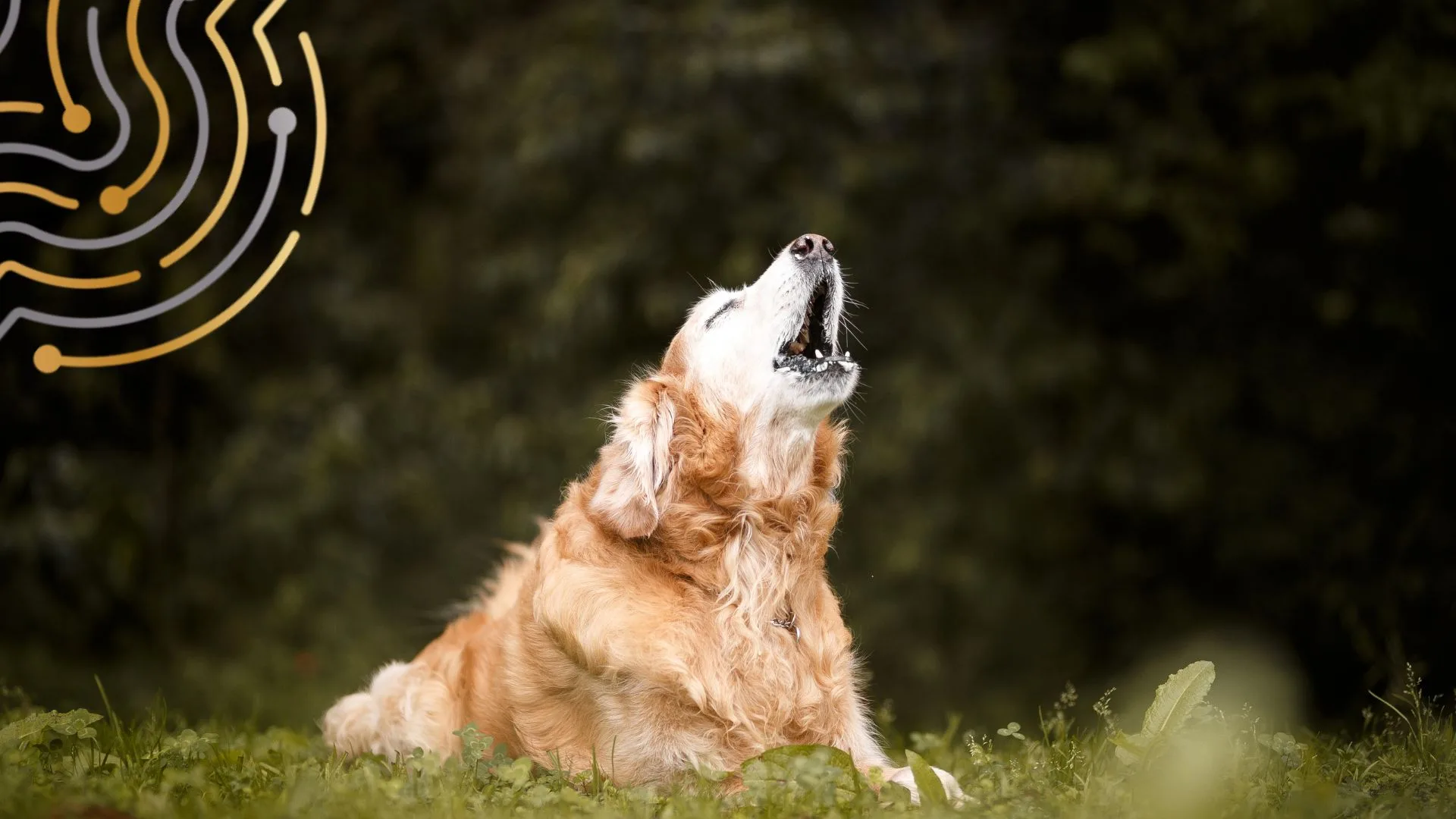 Scardinare il Business As Usual non è una provocazione, ma una scelta strategica. Ecco perché la consulenza può cambiare la rotta di un’azienda.