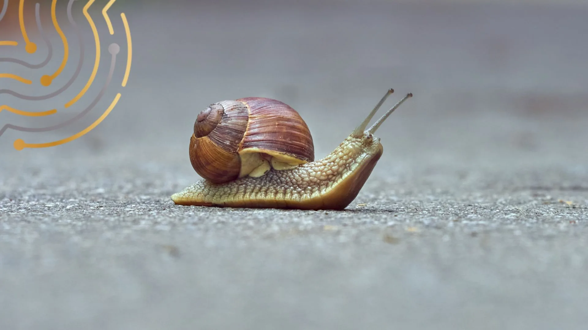 Nel business, la relazione viene prima dell’opportunità. Serve pazienza, ascolto e rispetto. Lo slow networking è il nuovo coraggio.